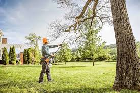 Best Tree Risk Assessment  in Fishers, IN